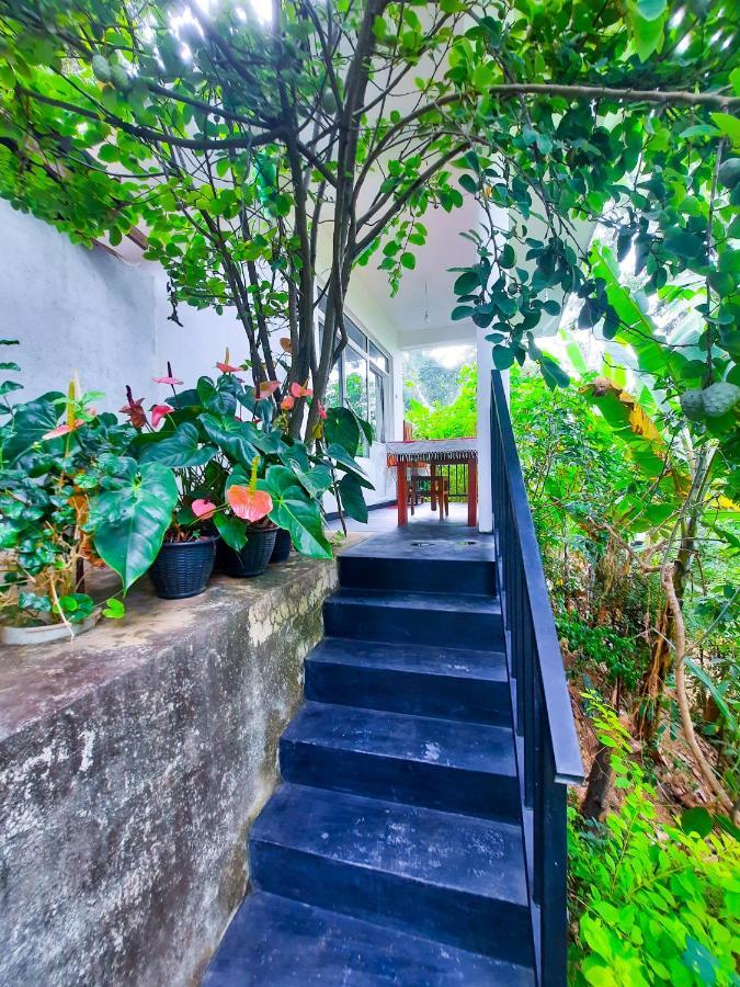 The Bliss Homestay Ella Exterior foto